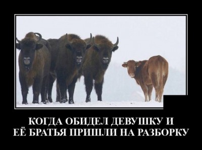 11.jpg (48.06 КБ) 3474 просмотра 11.jpg