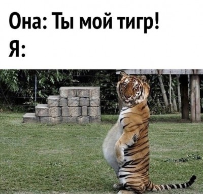 15.jpg (110.69 КБ) 3293 просмотра 15.jpg