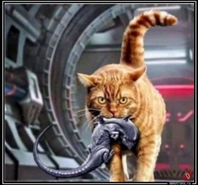 11.jpg (81.7 КБ) 3222 просмотра 11.jpg