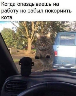 13.jpg (45.45 КБ) 3082 просмотра 13.jpg