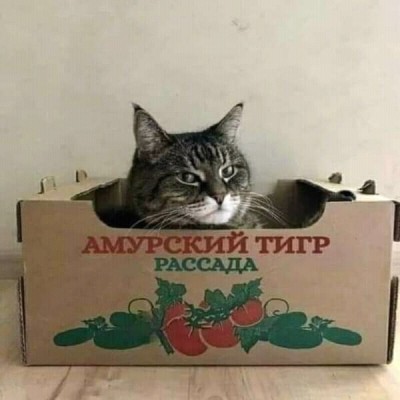 11.jpeg (60.14 КБ) 2773 просмотра 11.jpeg