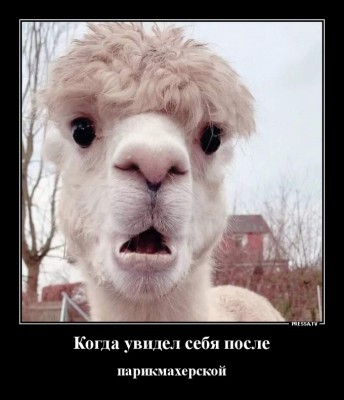 13.jpg (123.08 КБ) 2771 просмотр 13.jpg