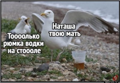 13.jpg (94.13 КБ) 2683 просмотра 13.jpg