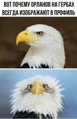 19.jpg (74.75 КБ) 3828 просмотров 19.jpg