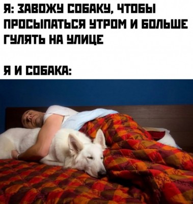 17.jpg (83.05 КБ) 3828 просмотров 17.jpg