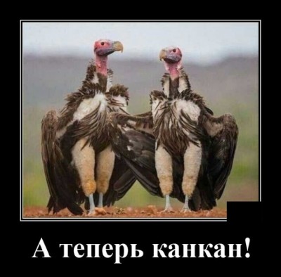 12.jpg (66.44 КБ) 3763 просмотра 12.jpg