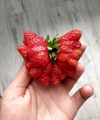 14.jpeg (75.09 КБ) 3644 просмотра 14.jpeg