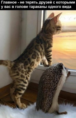 15.jpg (92.52 КБ) 3614 просмотров 15.jpg