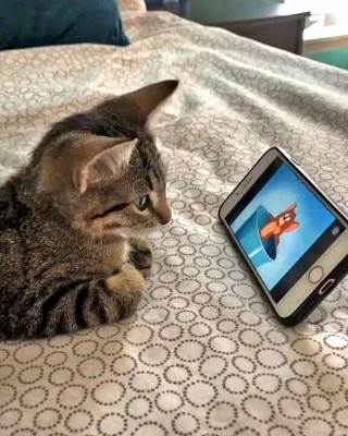 13.jpeg (84.35 КБ) 3614 просмотров 13.jpeg