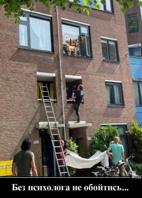 12.jpg (117.61 КБ) 3328 просмотров 12.jpg