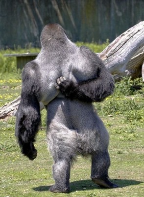 16.jpg (124.95 КБ) 3351 просмотр 16.jpg