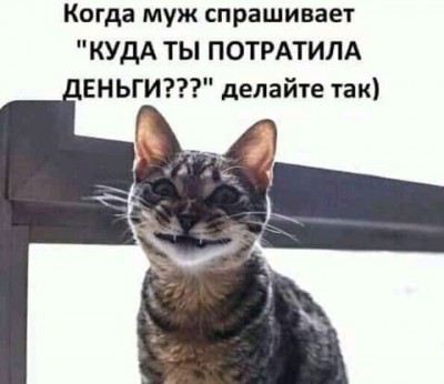 19.jpg (25.46 КБ) 3214 просмотров 19.jpg