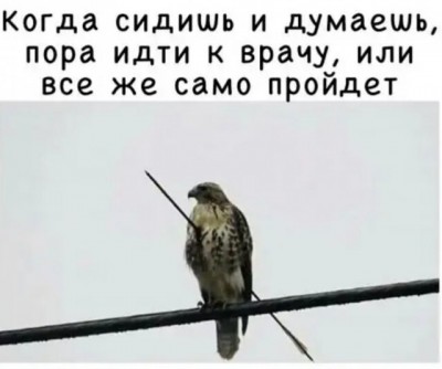 13.jpg (39.76 КБ) 3157 просмотров 13.jpg