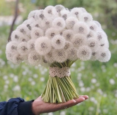 13.jpeg (68.41 КБ) 2947 просмотров 13.jpeg