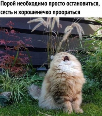 16.jpg (119.67 КБ) 3802 просмотра 16.jpg