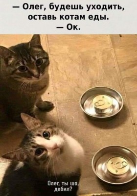 15.jpg (48.38 КБ) 3718 просмотров 15.jpg