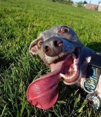 15.jpg (88.39 КБ) 3681 просмотр 15.jpg