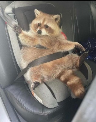 15.jpg (74.95 КБ) 3626 просмотров 15.jpg