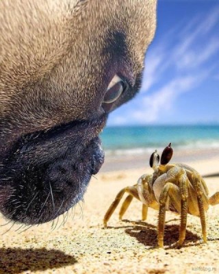 11.jpg (62.04 КБ) 3422 просмотра 11.jpg