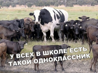 12.jpg (111.55 КБ) 3306 просмотров 12.jpg