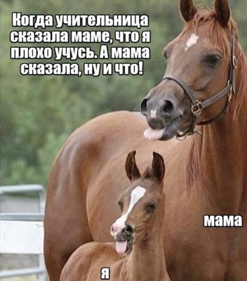 15.jpg (71.04 КБ) 5287 просмотров 15.jpg