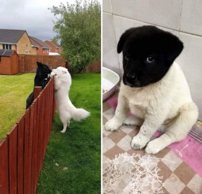 11.jpg (119.2 КБ) 5287 просмотров 11.jpg