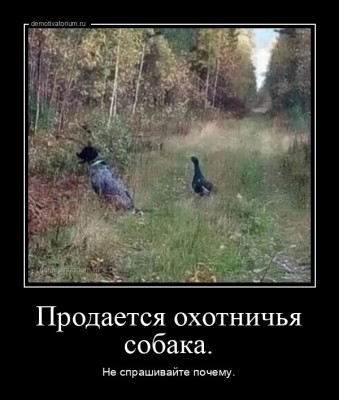 12.jpg (100.48 КБ) 5286 просмотров 12.jpg