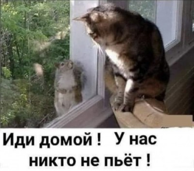 16.jpg (67.81 КБ) 5240 просмотров 16.jpg