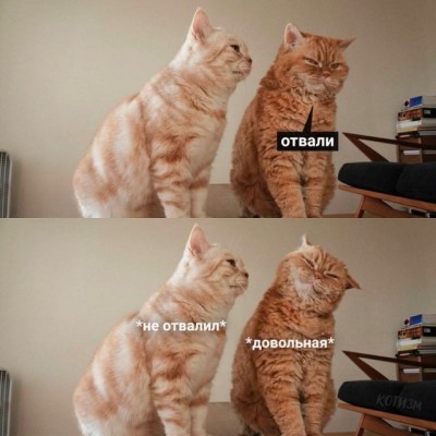 15.jpg (78.97 КБ) 5050 просмотров 15.jpg