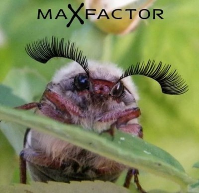 16.jpg (52.79 КБ) 5170 просмотров 16.jpg