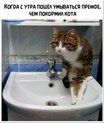 14.jpg (71.34 КБ) 4824 просмотра 14.jpg