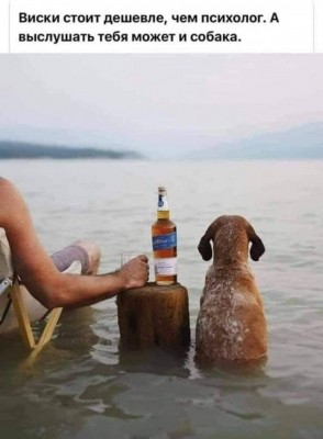 13.jpg (75.15 КБ) 4752 просмотра 13.jpg