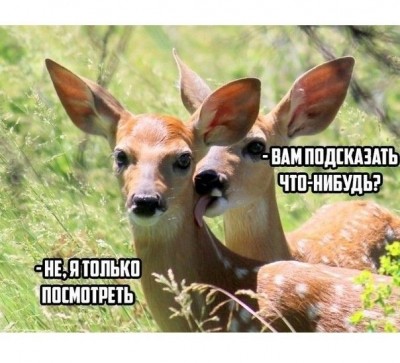 16.jpg (72.82 КБ) 4583 просмотра 16.jpg