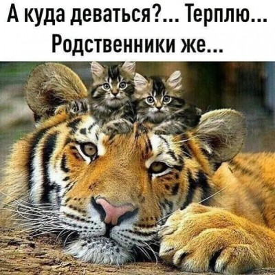 14.jpg (90.27 КБ) 4854 просмотра 14.jpg