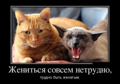 17.jpg (44.6 КБ) 4714 просмотров 17.jpg