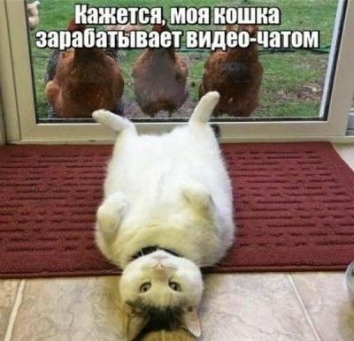 13.jpg (71.51 КБ) 4658 просмотров 13.jpg