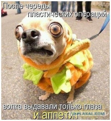 17.jpg (93.74 КБ) 4658 просмотров 17.jpg