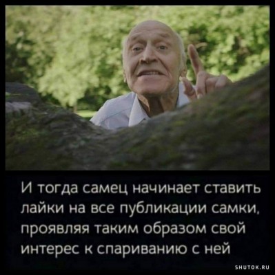 19.jpg (78.51 КБ) 4631 просмотр 19.jpg