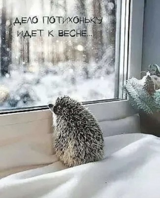 17.jpg (109.33 КБ) 3919 просмотров 17.jpg