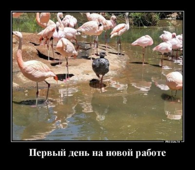 12.jpg (70.19 КБ) 3865 просмотров 12.jpg