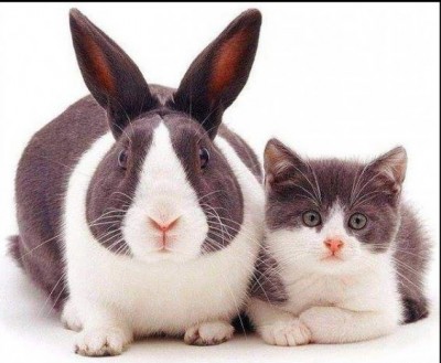 11.jpg (95.71 КБ) 3800 просмотров 11.jpg